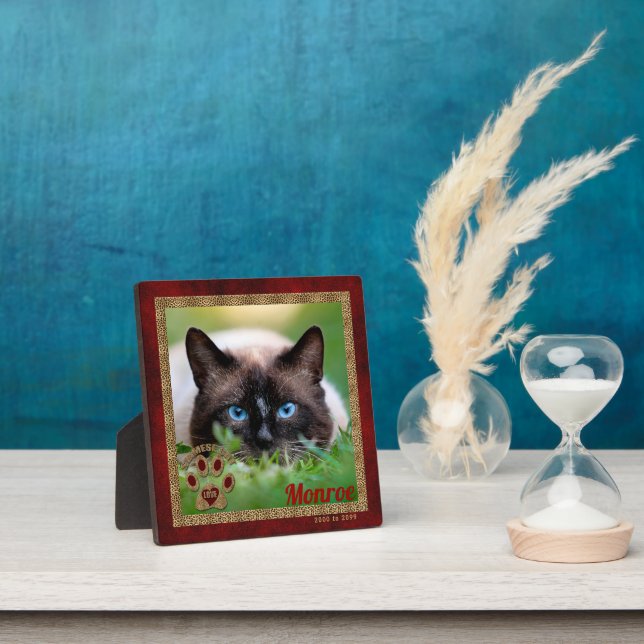 Siamese Cat Pet Memorial Photo Plaque (Insitu)