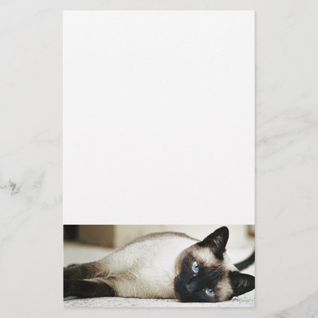 Siamese Cat Pet Stationery (Front)