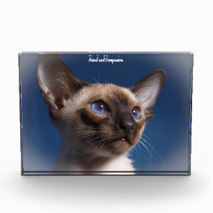 Siamese Cat Photo Block