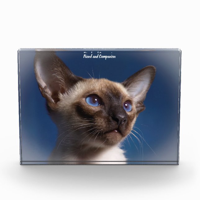 Siamese Cat Photo Block (Front)