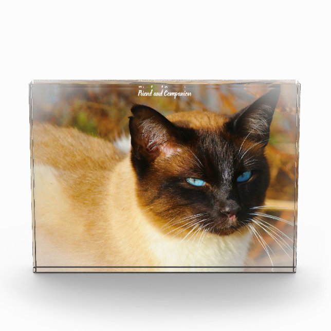 Siamese Cat Photo Block (Front)
