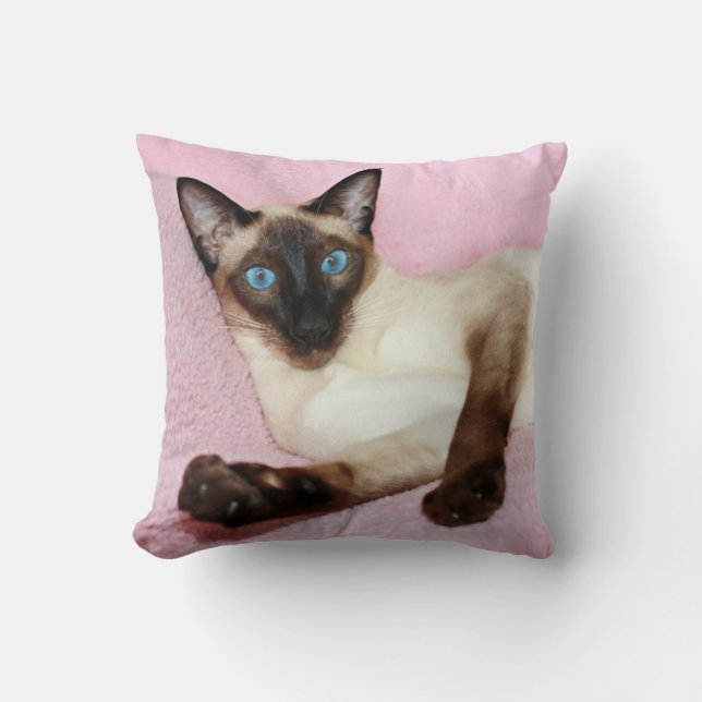 Siamese Cat Pink Background Cushion (Front)