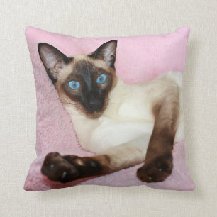 Siamese Cat Pink Background Cushion