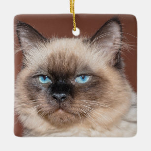 Siamese cat porcelain ornament
