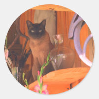Siamese Cat Posing 2 Animal