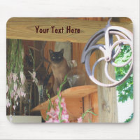 Siamese Cat Posing Animal Photography Mousepad #2