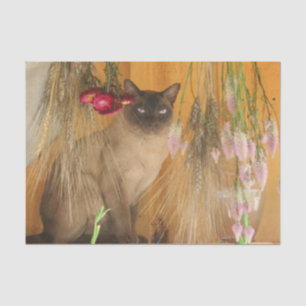 Siamese Cat Posing With Flowers Decoupage Tissue Paper