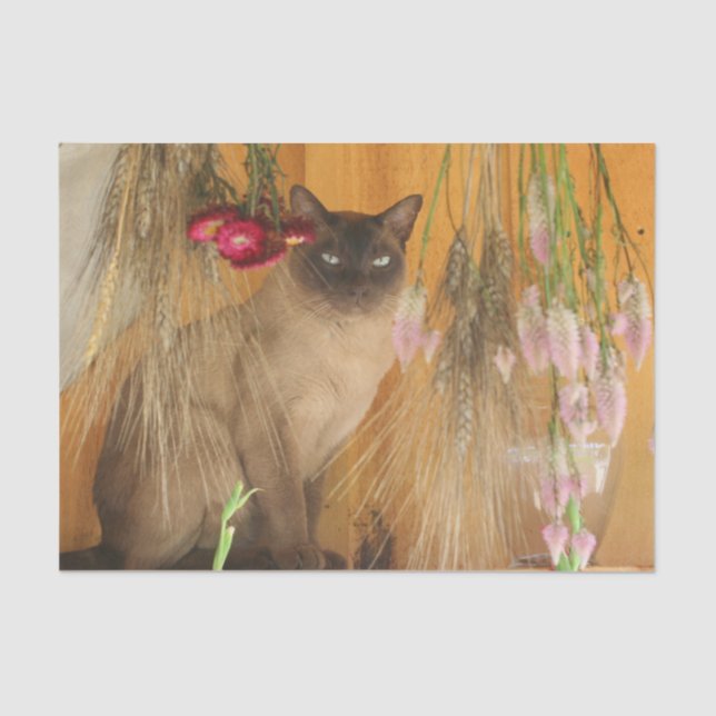 Siamese Cat Posing With Flowers Decoupage Tissue Paper (Front)