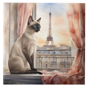 Siamese Cat Relaxing on Parisian Window Sill Tile