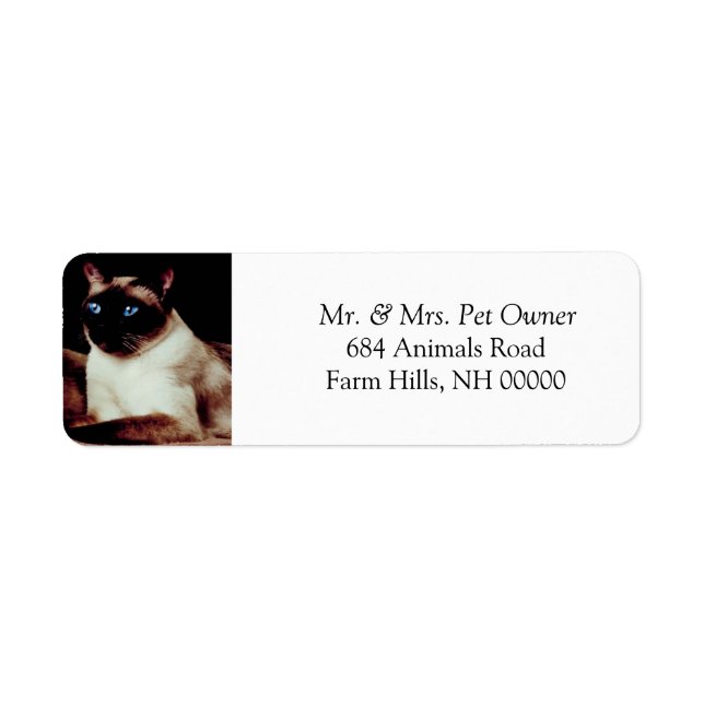 Siamese Cat Return Address Stickers Labels (Front)