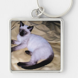 Siamese cat sandstone animal art pet cute kitty key ring