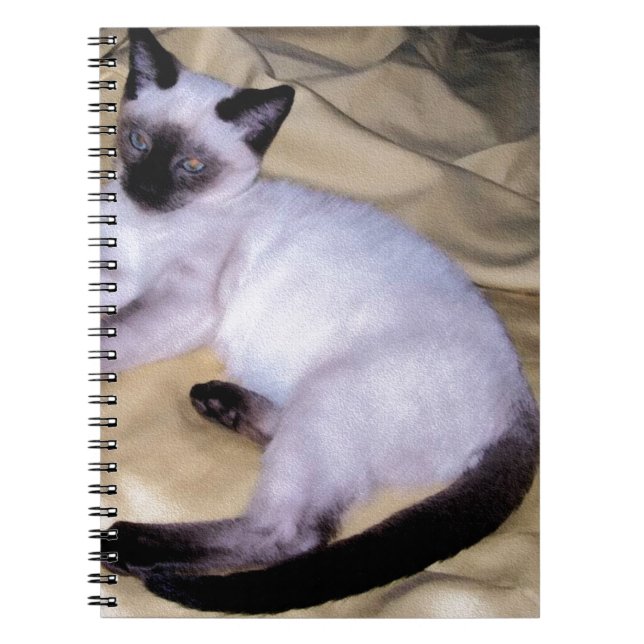 Siamese cat sandstone animal art pet cute kitty notebook (Front)