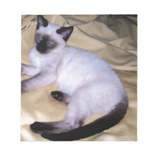 Siamese cat sandstone animal art pet cute kitty notepad