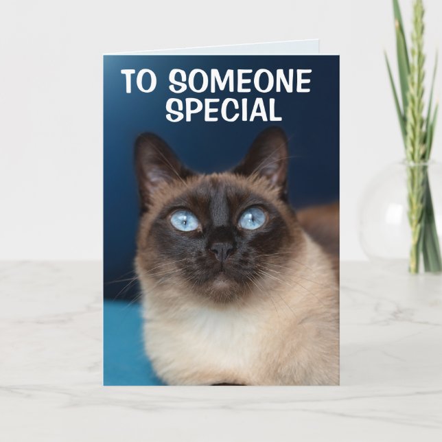 SIAMESE CAT SOMEONE SPECIAL BIRTHDAY Card (Front)