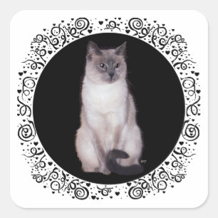 Siamese Cat Square Sticker