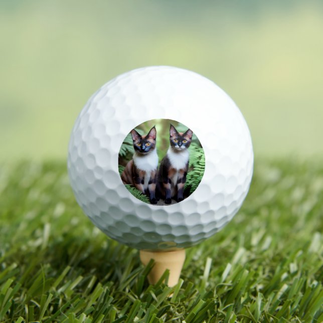 Siamese Cat Twins, Golf Ball (Insitu Tee)