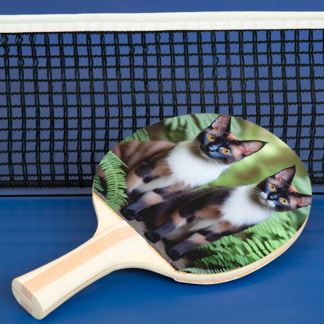 Siamese Cat Twins, Ping Pong Paddle (Insitu)
