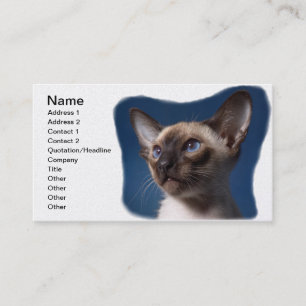 Siamese Cat with Blue Eyes Business Card