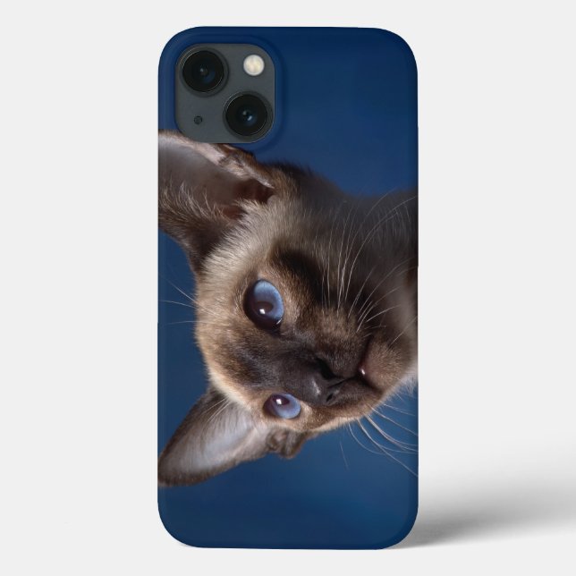 Siamese Cat with Blue Eyes Case-Mate iPhone Case (Back)
