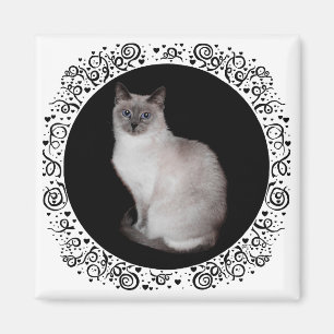 Siamese Cat with Blue Eyes Magnet