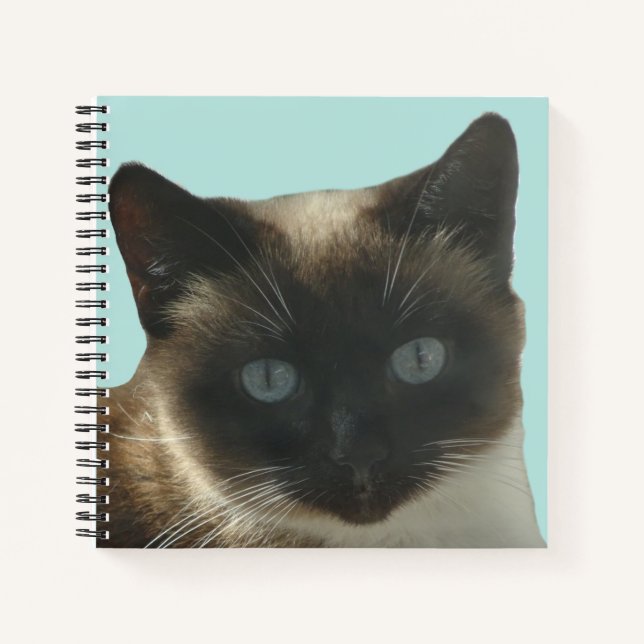 Siamese Cat with Bright Blue Eyes Notebook (Front)