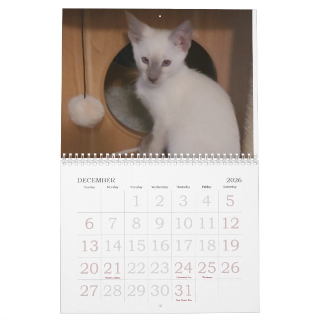 Siamese Cats Calendar (Dec 2026)