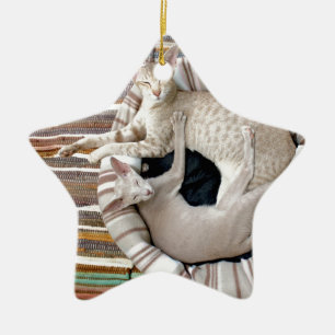 Siamese Cats Just Chillin! Ceramic Tree Decoration