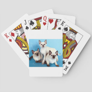 Siamese Cats Playing Cards
