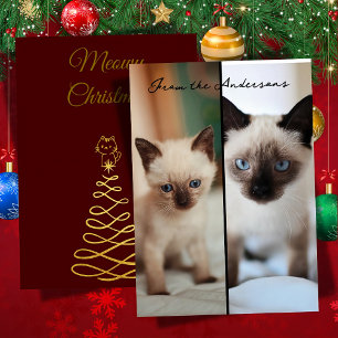 Siamese christmas  holiday card