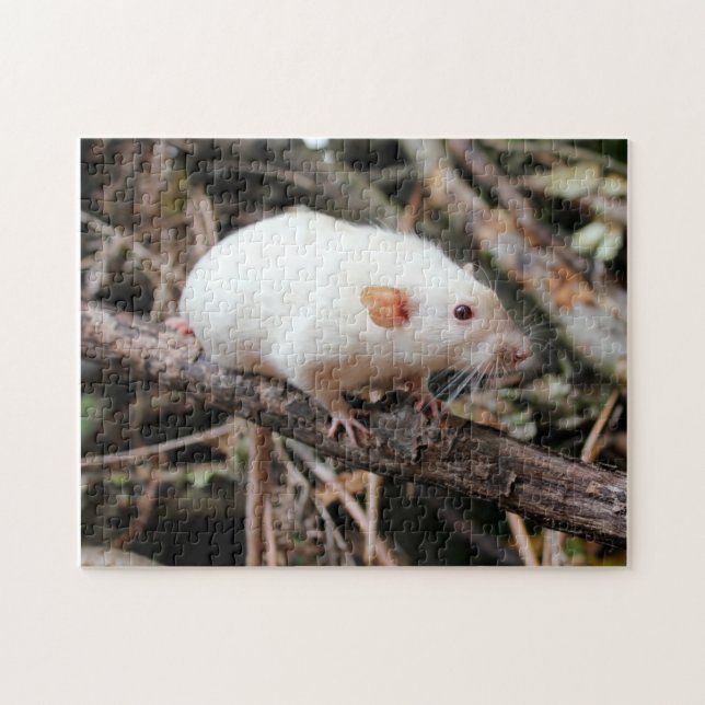 Siamese Dumbo Pet Rat in the woods Jigsaw Puzzle (Horizontal)