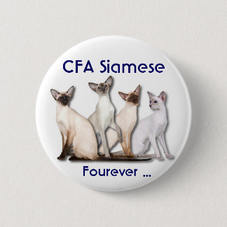 Siamese Forever 6 Cm Round Badge