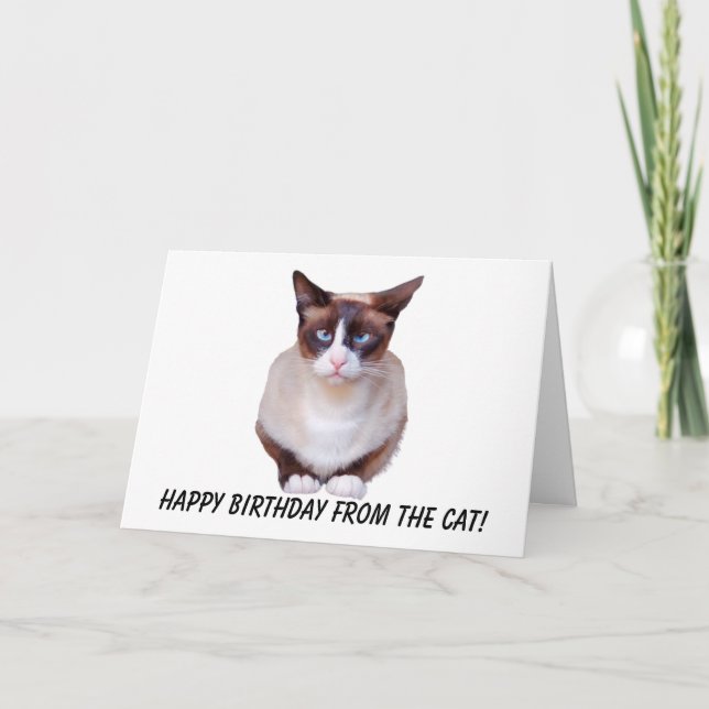 Siamese Happy Birthday Card (Front)