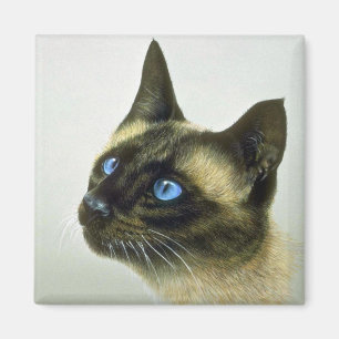 Siamese (head study) magnet