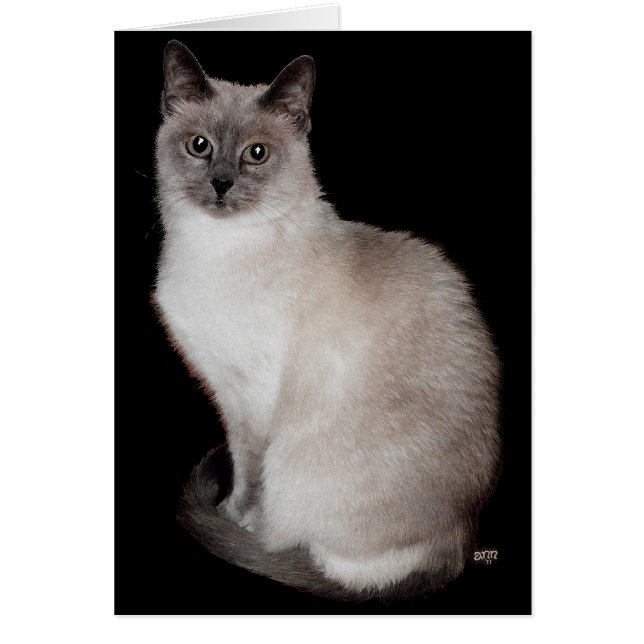Siamese if you Please! (Front)