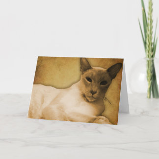 Siamese in Sepia Greetings Card - Horizontal