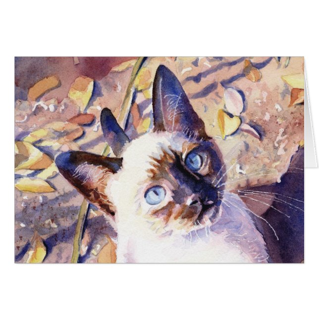 Siamese Kitten (Front Horizontal)