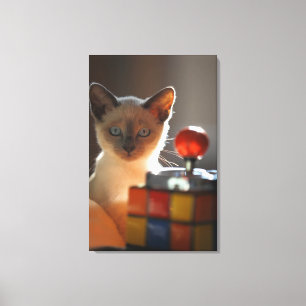 Siamese kitten 2 canvas print