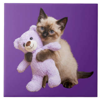 Siamese Kitten and Teddy Bear Decorative Tile