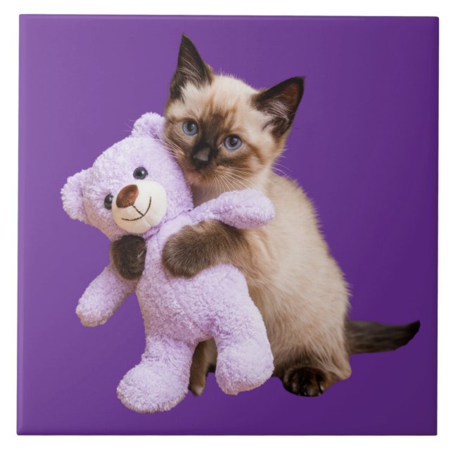 Siamese Kitten and Teddy Bear Decorative Tile (Front)