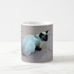 Siamese kitten animal coffee mug