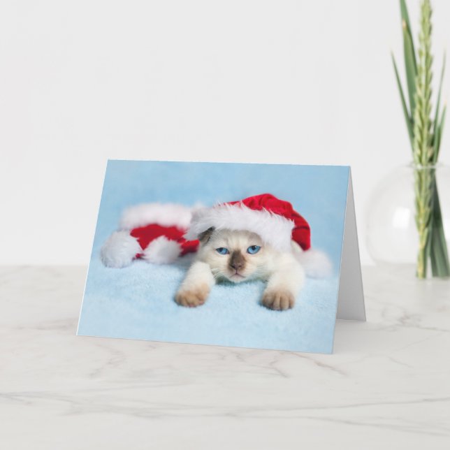 Siamese Kitten: Christmas Kitty Holiday Card (Front)