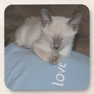 Siamese kitten  coaster
