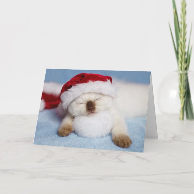 Siamese Kitten: Holiday Napping Card (Front)