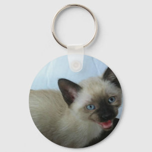 Siamese kitten key chain