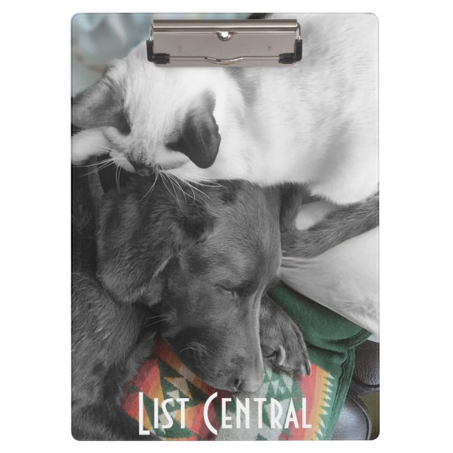 Siamese Kitten Lovingly Lies On Labrador's Head Clipboard (Front)