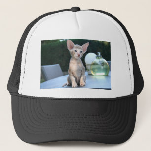 Siamese Kitten on a table Trucker Hat