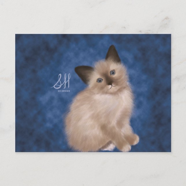 Siamese Kitten Postcard (Front)
