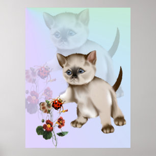 Siamese Kitten VS Ladybug  Poster