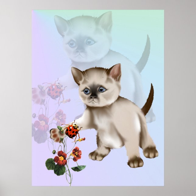 Siamese Kitten VS Ladybug  Poster (Front)