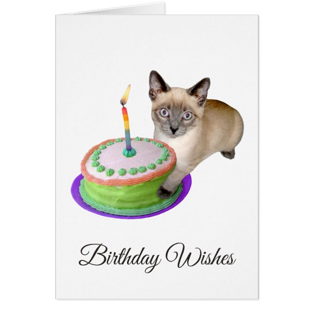 Siamese Kitten with Cake Birthday Card (Front)